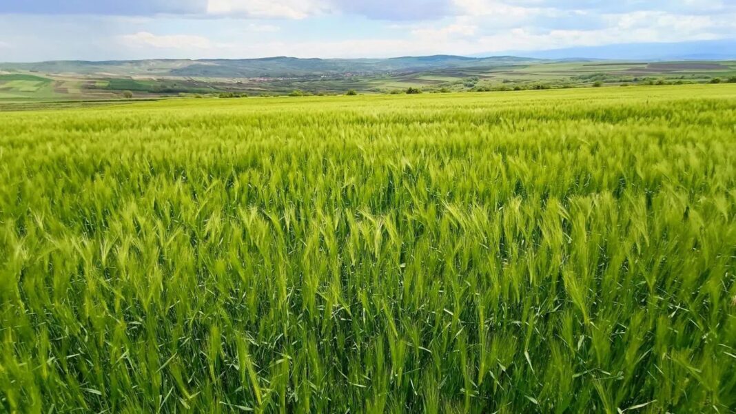 Ce iei cu tine când schimbi domeniul — obiect mutat în alt loc, rămas întreg